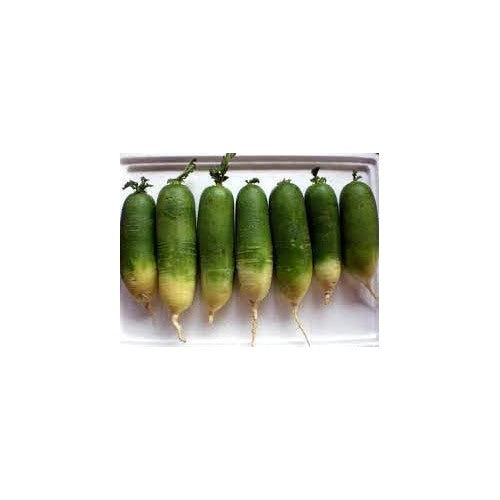Radish Vegetable Seeds for Planting [neera-v5-be97a8f2338e86c6bee1]