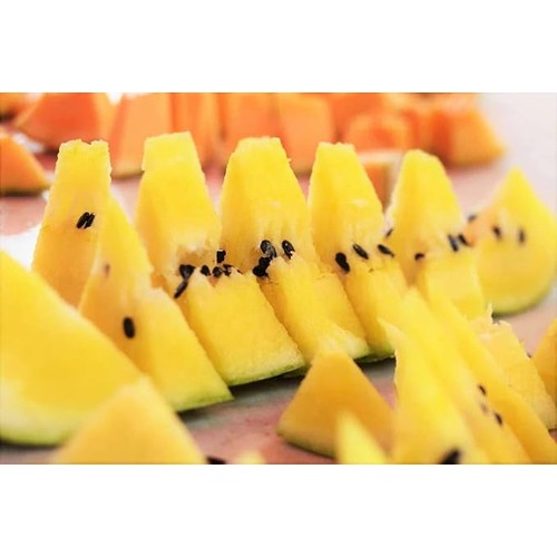 Yellow Crimson Watermelon Fruit Seeds [neera-v5-beecccd0231c5a2c14e9]