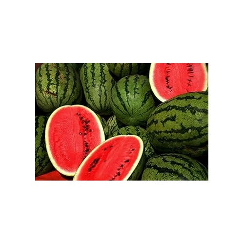 Mountain Hoosier Watermelon Fruit Seeds for Planting [neera-v5-bf104caa37f2e6bb6f47]