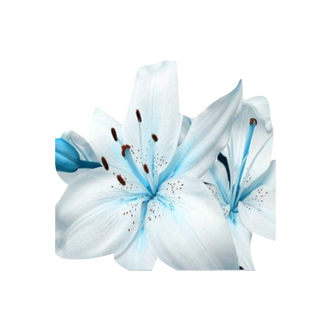 Blue Lily Nymphaea Caerulea Heart Flower For Planting Perfect For Water Gardens Backyard Ponds [neera-v5-c067879356f6ae8cb539]