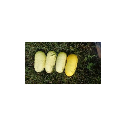 Blonde Cucumber Seeds for Planting [neera-v5-c0bc0078bc554251ea53]