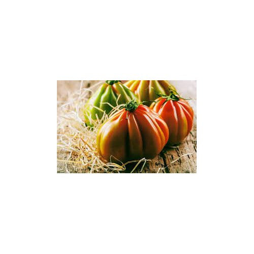 Heirloom Mixed Color Oxheart Tomato Vegetable Seeds for Planting [neera-v5-c0f9ee928837ef114e72]