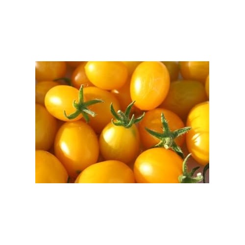 Yellow Grape Tomato Seeds for Planting [neera-v5-c13288f55e347a128644]
