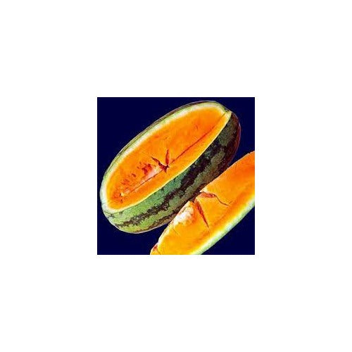 Orange Cantalupo Almizcle Melon Seeds [neera-v5-c151a540978bcb682921]