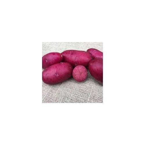 Dark Pink Potato Vegetable Seeds for Planting [neera-v5-c15a0282ba12a0f95943]