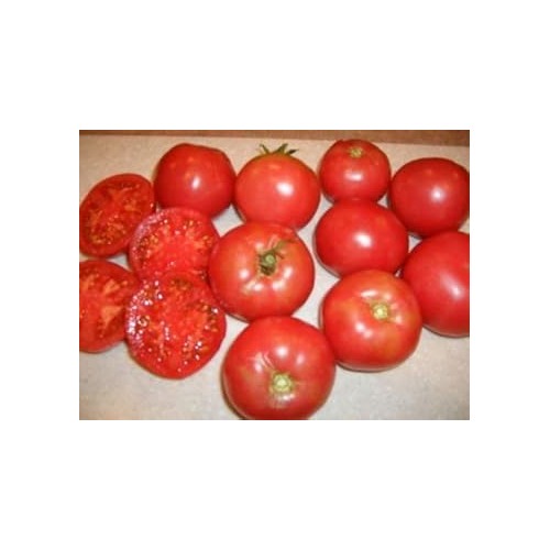Heirloom Red Tomato Seeds for Planting [neera-v5-c1e5efd6926661ac9a30]
