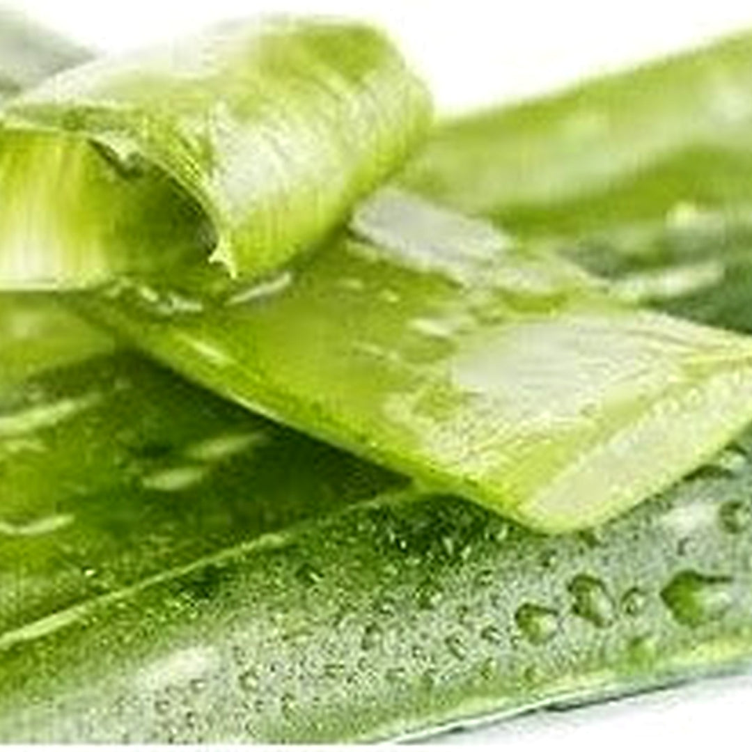 Light Green Aloe Vera Plant Seeds for Planting [neera-v5-c23ced1e60ac7af37350]