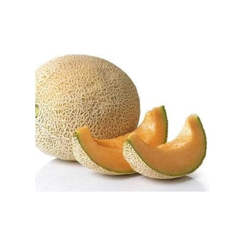 Yellow Cantaloupe Fruit Seeds for Gardening [neera-v5-c2456c64fb091d552d49]