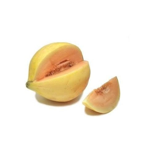 Yellow Cucumis Melo Fruit Seeds for Planting | Heirloom Non-GMO Organic Seeds for Sweet, Refreshing Garden Melons [neera-v5-c251c7fe660553530a12]