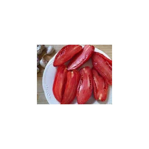 Opalka Tomato Seeds for Planting [neera-v5-c2dd3db848217893e905]