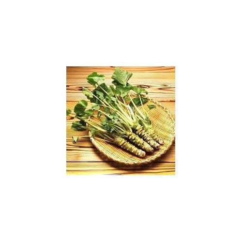 Horseradish Wasabia Vegetable Seeds for Planting [neera-v5-c328188cfa1381f9c7c2]