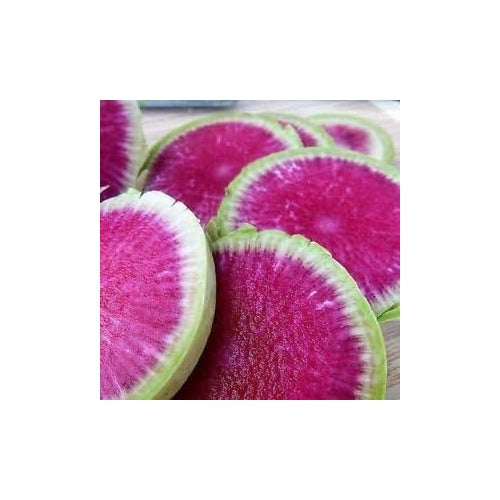 Pink Radish Seeds [neera-v5-c33a3a21ba4b6722d63c]