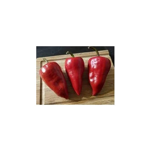 Chilhuacle Pepper Seeds for Planting [neera-v5-c3830fe975046cd49843]