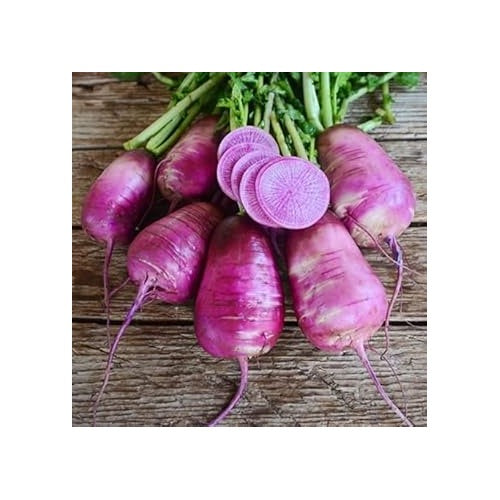 Heirloom Purple Radish Seeds [neera-v5-c3ad2ba6735177039e17]