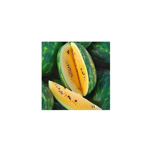 Yellow Watermelon Fruit Seeds for Planting [neera-v5-c480a40dfc4296b082a3]