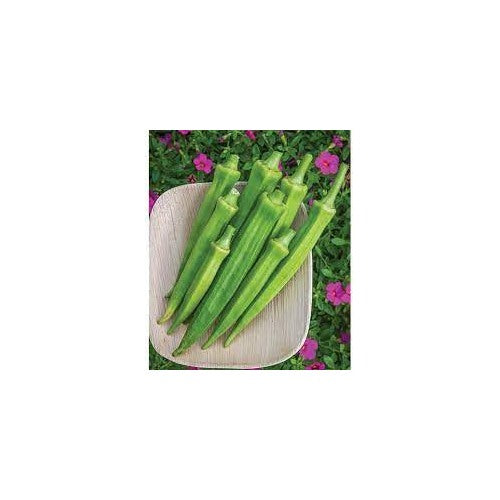 Cajun Delight Okra Seeds for Planting [neera-v5-c51285009cff493bee0e]