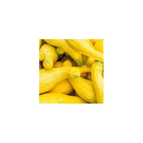 Crookneck Yellow Squash Vegetable Seeds for Planting [neera-v5-c60cb3502449d0303363]