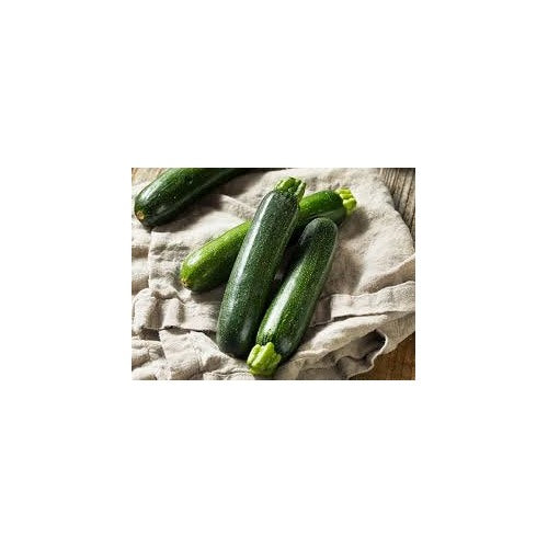 Zucchini Black Beauty Seeds [neera-v5-c616ec56e1819e573c27]