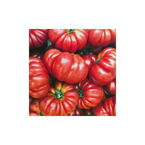 Giant Oxheart Tomato Vegetable Seeds for Planting | Heirloom, Non-GMO, High Germination, Organic Garden Seeds [neera-v5-c6fa93f7fe25403c5f8c]