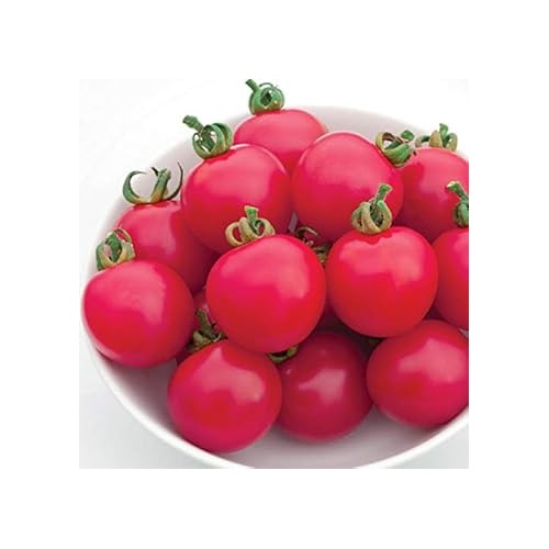 Pink Tomato Seeds for Planting [neera-v5-c6fd13b94893c63c2713]