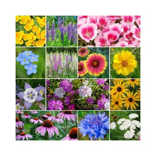 Deer Resistant Wildflower Mix Species Variety Sizes Heirloom Non Gmo Flower Seeds Home Garden [neera-v5-c70a481146928c22f6e6]