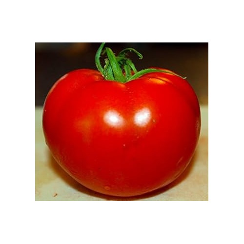 Red Tomato Seeds for Planting [neera-v5-c76061ce70074914441f]