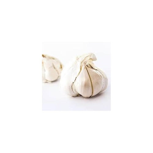 Elephant Garlic Seeds for Planting, White [neera-v5-c7f92e405b54b602a2a8]