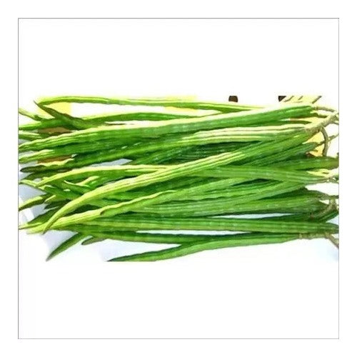 Drumstick (Moringa oleifera) Seeds for Planting [neera-v5-ca2e4866e9a36ffb28ae]