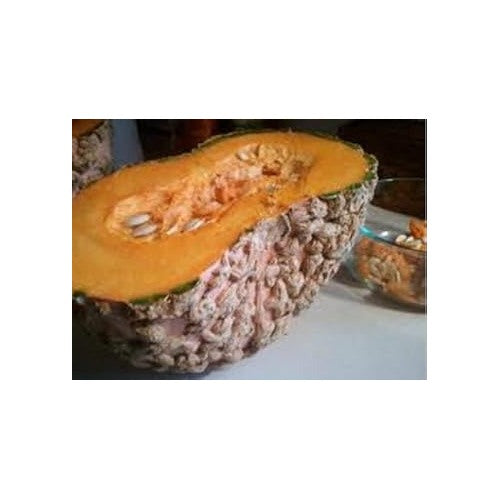 Brown Pumpkin Fruit Seeds [neera-v5-ca95d7b6b75d2d8c8a6a]