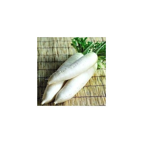Heirloom Non-GMO White Radish Vegetable Seeds for Home Garden Planting [neera-v5-cb93f466a4498644d01f]