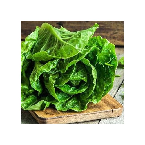 Romaine Lettuce Seeds for Planting [neera-v5-cbdc48a281fff38fdcf0]