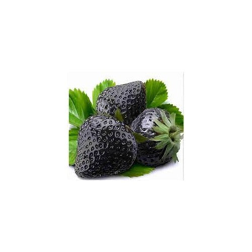 Black Strawberry Fruit Seeds for Planting [neera-v5-cc5541d6f4b65d22af1f]
