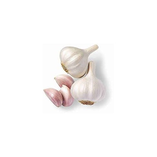 White Garlic Vegetable Seeds for Planting [neera-v5-cc58c832911b2df32b11]