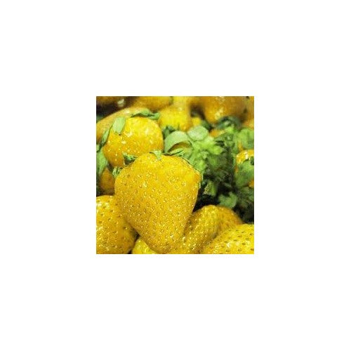 Yellow Strawberry Fruit Seeds for Planting [neera-v5-cc8f4a6aac1bcd017a03]