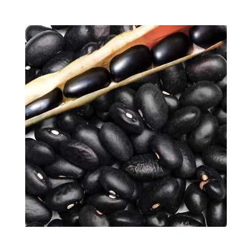 Black Pound Bean Planting Heirloom Non Gmo Flower Seeds Home Garden Planting, Premium [neera-v5-ccbe664789d8b59f8fd6]