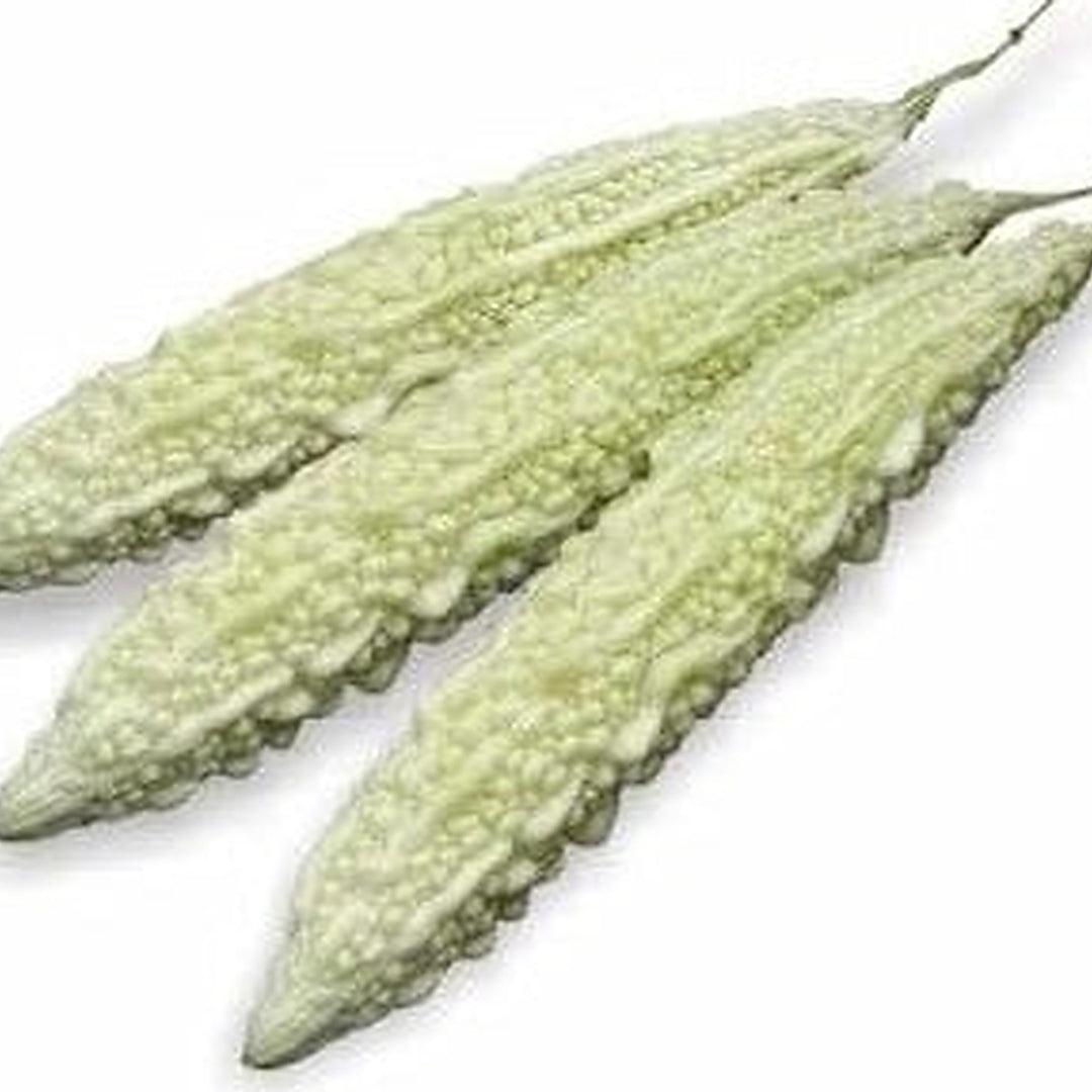 White Bitter Gourd Seeds for Planting [neera-v5-ccc0d76c0f16f3c6411f]