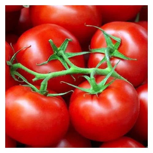 Heirloom Square Round Tomato (Summer Variety) Seeds for Planting [neera-v5-ccde066b34ab9d794ca6]
