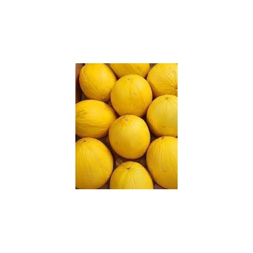 Honey Melon Seeds [neera-v5-cd9e264ed2aa9b744c70]