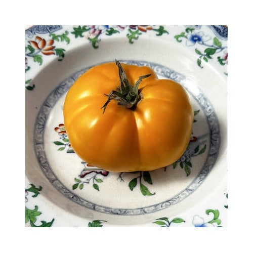 Big Orange Tomato Seeds for Planting [neera-v5-cdcca16f6beb72ec23f8]