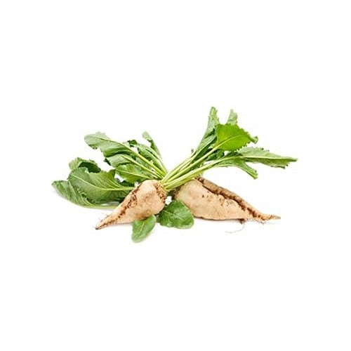 Cream Beet Seeds for Planting [neera-v5-ce6ebc3faeb640489ff3]