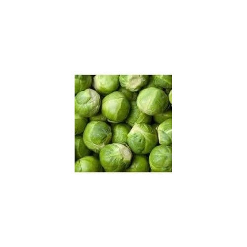 Catskill Brussels Sprout Vegetable Seeds for Planting [neera-v5-cf15fa8b3e78c2dfa8cc]