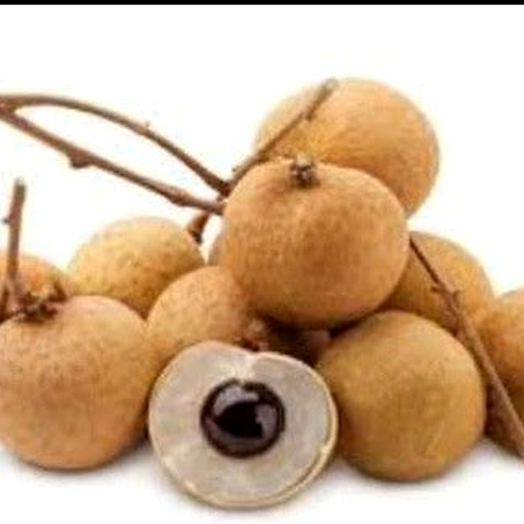 Longan Fruit Seeds (Dimocarpus) [neera-v5-cf85c334d5b3c3997340]