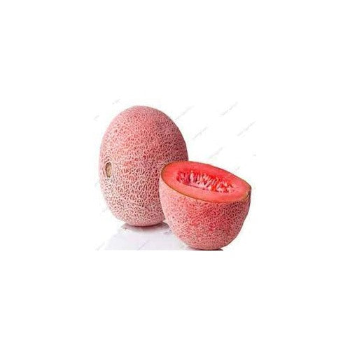 Melon Lesya Fruit Seeds for Planting [neera-v5-d04d749d49df606d6d27]