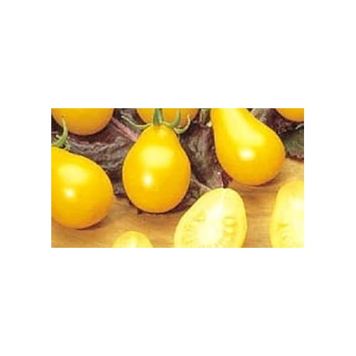 Pear Tomato Seeds for Planting [neera-v5-d0baab27a4e0eb4f497c]