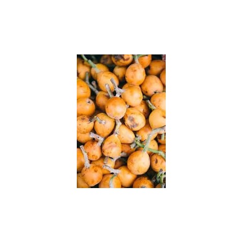 Passionfruit Seed Set for Planting | Heirloom Non-GMO Organic Garden Seeds for Tangy Fruits [neera-v5-d1f117b7d92442e8dca0]