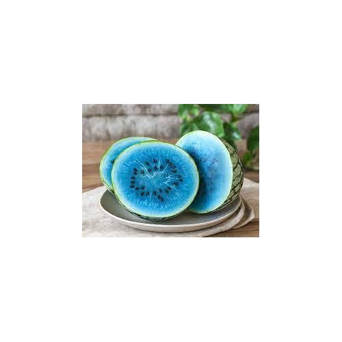 Sky Blue Watermelon Fruit Seeds for Planting [neera-v5-d243522ee073e07e937a]