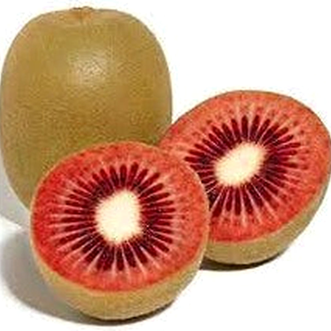 Ruby Red Kiwi Fruit Seeds for Planting [neera-v5-d3ab9e7c8037382e29dd]