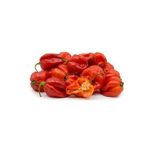Heirloom Non-GMO Scotch Bonnet Pepper Vegetable Seeds [neera-v5-d3dd2b17c8d50932c97a]