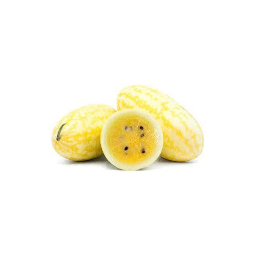 Gold in Gold Watermelon Seeds [neera-v5-d47f2dfd7fe8a896068d]