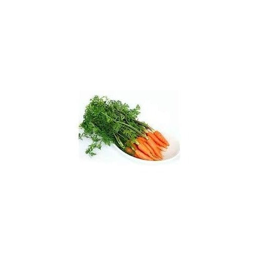 Little Finger Carrot Seeds for Planting [neera-v5-d5489eaa1607ab2140e9]